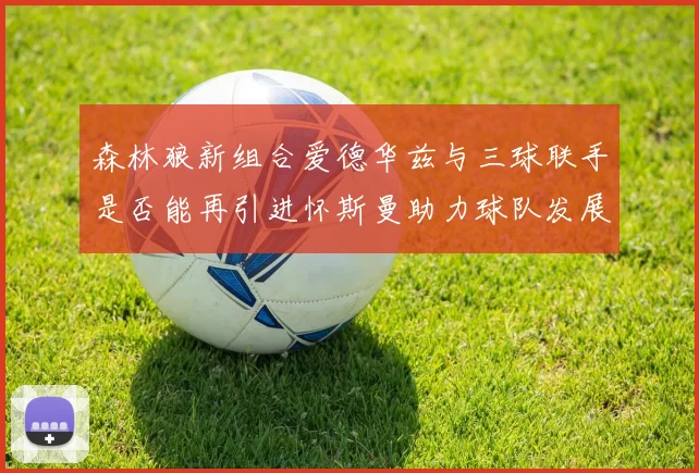 森林狼新组合爱德华兹与三球联手是否能再引进怀斯曼助力球队发展