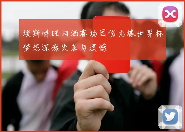 埃斯特旺泪洒赛场因伤无缘世界杯梦想深感失落与遗憾